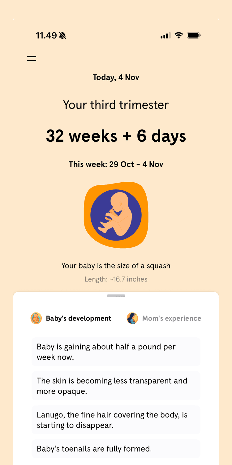 DadGPT App Screenshot - Pregnancy Tracking